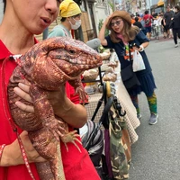 画像381