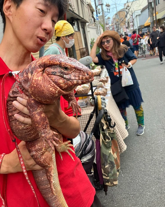画像381