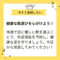 画像447