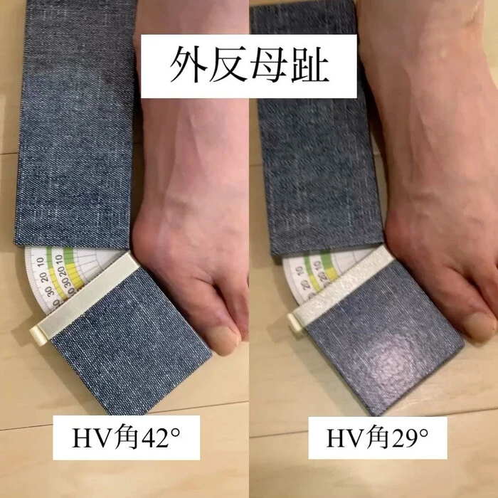 画像484
