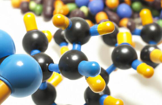 分子栄養学×整骨院
― 原因を科学する健康への扉 ―